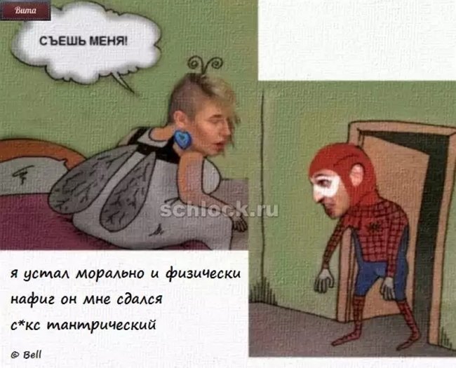 Приколы о Дом-2 (3.11.2018)