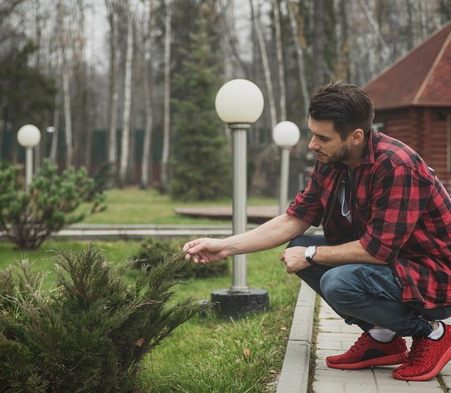 Свежие фото от участников (11.11.2018)