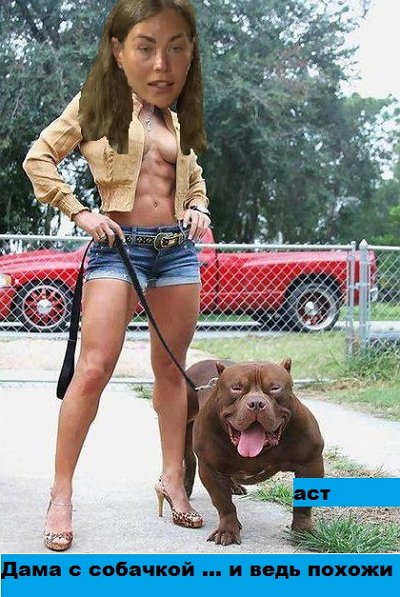 Приколы о Дом-2 (12.11.2018)