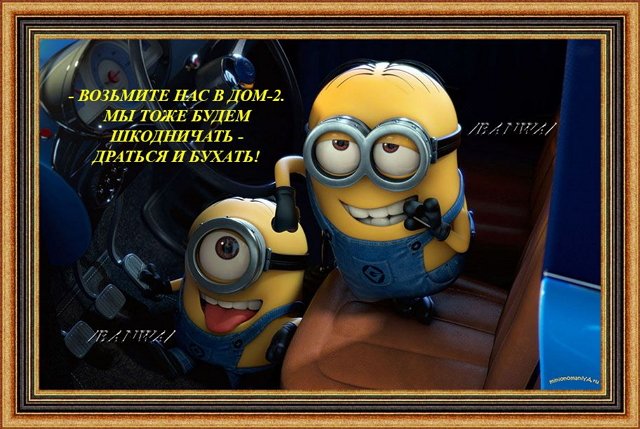 Приколы о Дом-2 (12.11.2018)