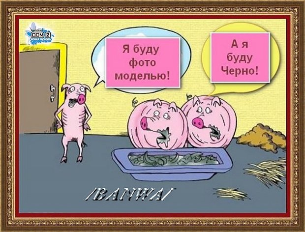 Приколы о Дом-2 (16.11.2018)