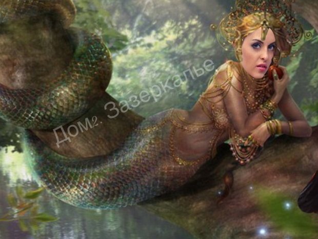 Приколы о Дом-2 (16.11.2018)