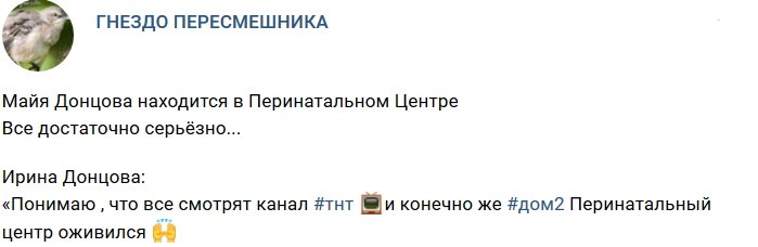 Майя Донцова оказалась в палате интенсивной терапии