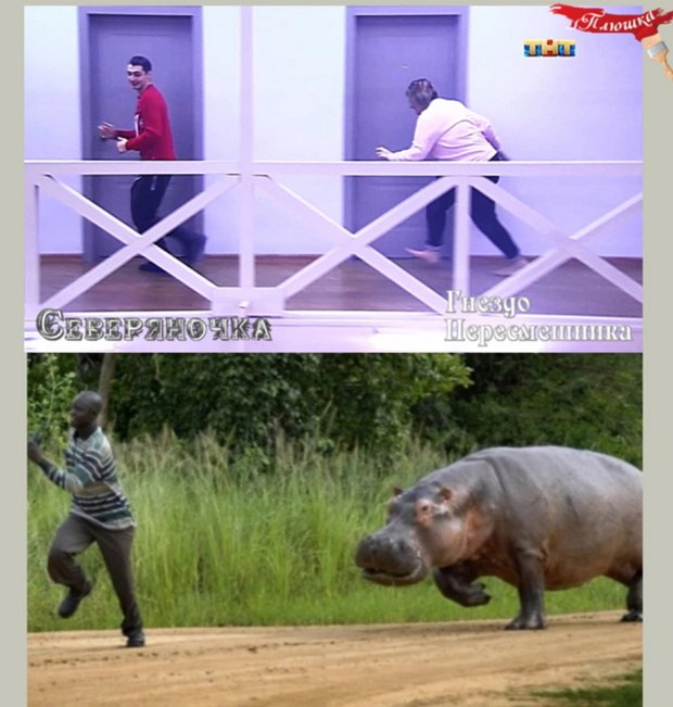 Приколы о Дом-2 (2.12.2018)