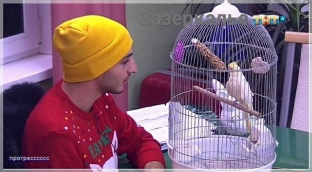 Мнение: Оганесян обрел свое призвание