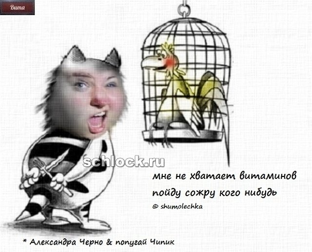 Приколы о Дом-2 (12.12.2018)