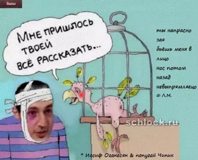 Приколы о Дом-2 (16.12.2018)