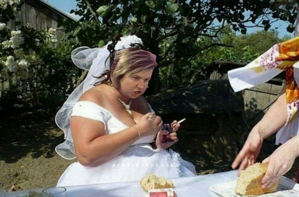 Стихи о Дом-2 на 19.12.2018