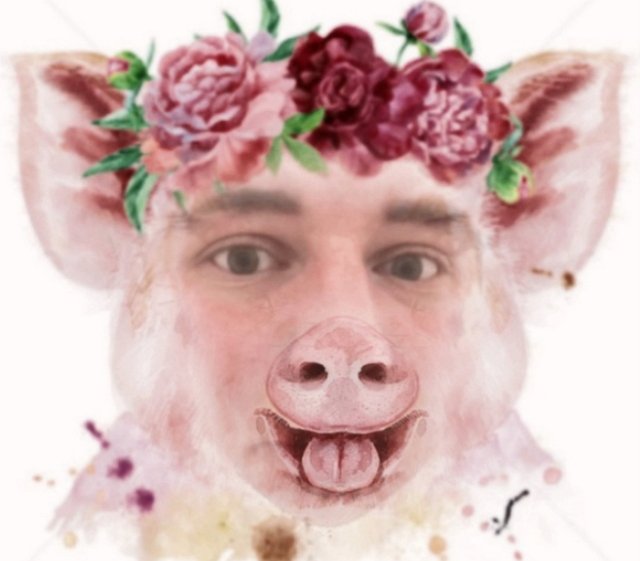 Стихи о Дом-2 на 20.12.2018