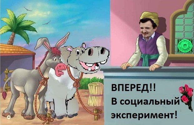 Приколы о Дом-2 (4.01.2019)