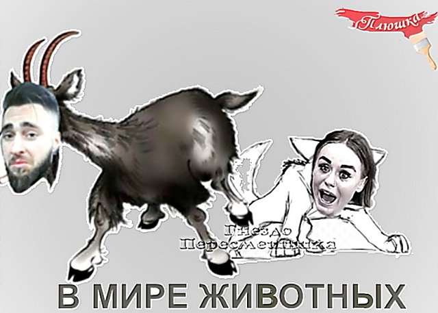 Приколы о Дом-2 (9.01.2019)