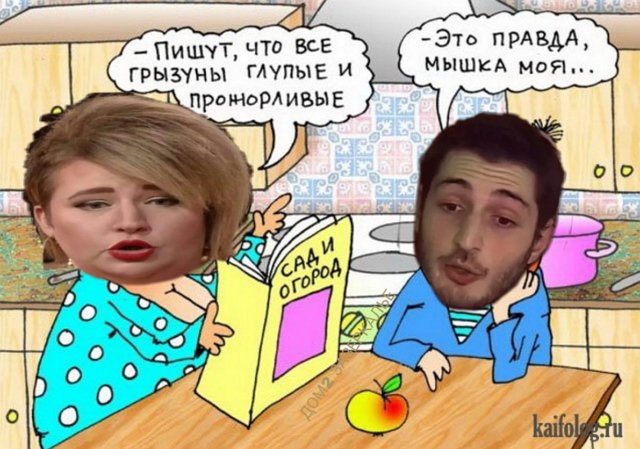 Приколы о Дом-2 (12.01.2019)