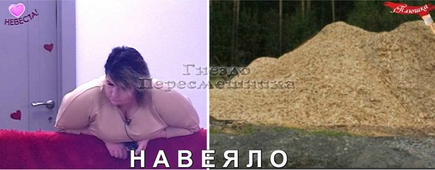 Приколы о Дом-2 (13.01.2019)