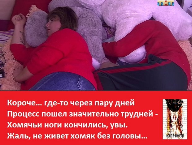 Приколы о Дом-2 (13.01.2019)