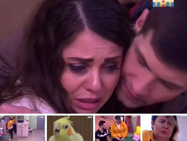 Мнение: Рапунцели лишают Оганесянов эфирного времени