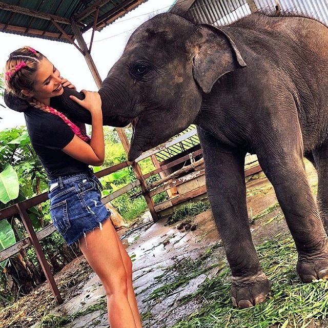 Жизнь после телестройки: Алиса Литинская