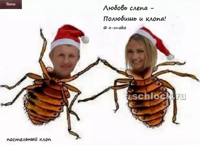 Приколы о Дом-2 (23.01.2019)