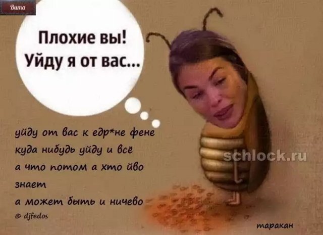 Приколы о Дом-2 (23.01.2019)