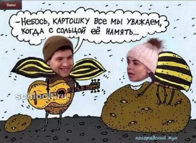 Приколы о Дом-2 (23.01.2019)