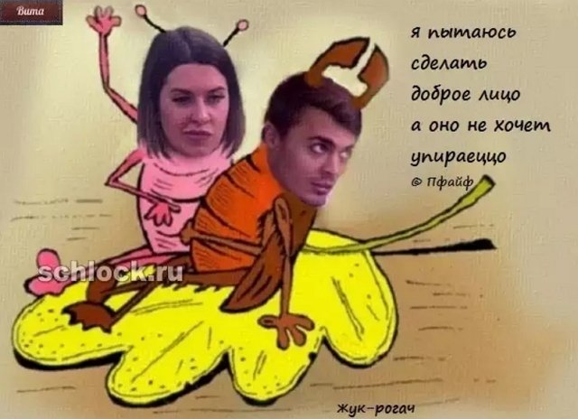 Приколы о Дом-2 (23.01.2019)