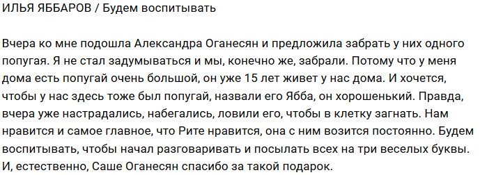 Илья Яббаров: Берёмся за воспитание попугая
