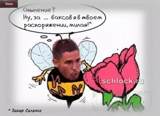 Приколы о Дом-2 (27.01.2019)