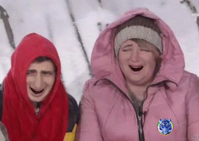 Стихи о Дом-2 на 27.01.2019