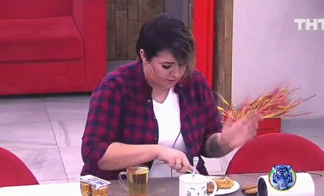 Стихи о Дом-2 на 28.01.2019