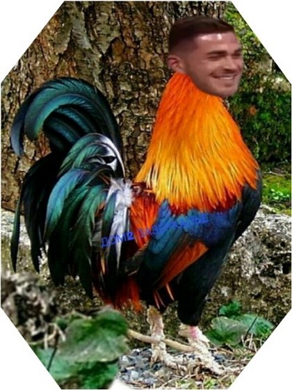 Приколы о Дом-2 (29.01.2019)