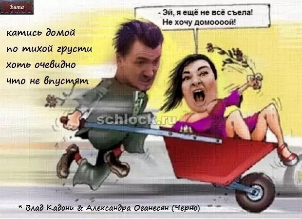 Приколы о Дом-2 (30.01.2019)