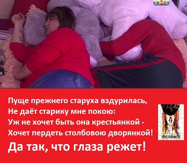 Приколы о Дом-2 (30.01.2019)