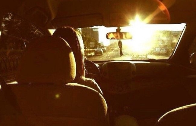 Ольга Сударкина: Всем нужно «мясо»!