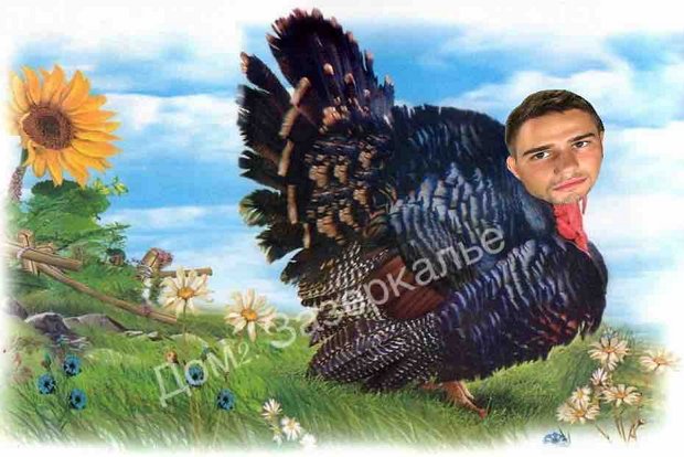 Приколы о Дом-2 (31.01.2019)