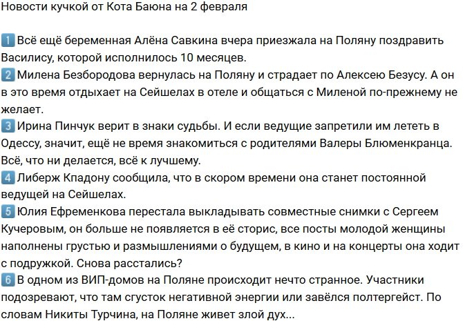 Новости от Кота Баюна (2.02.2019)