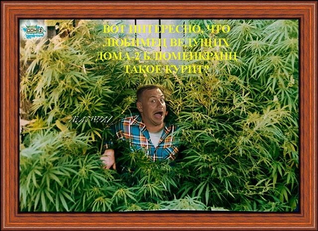 Приколы о Дом-2 (6.02.2019)