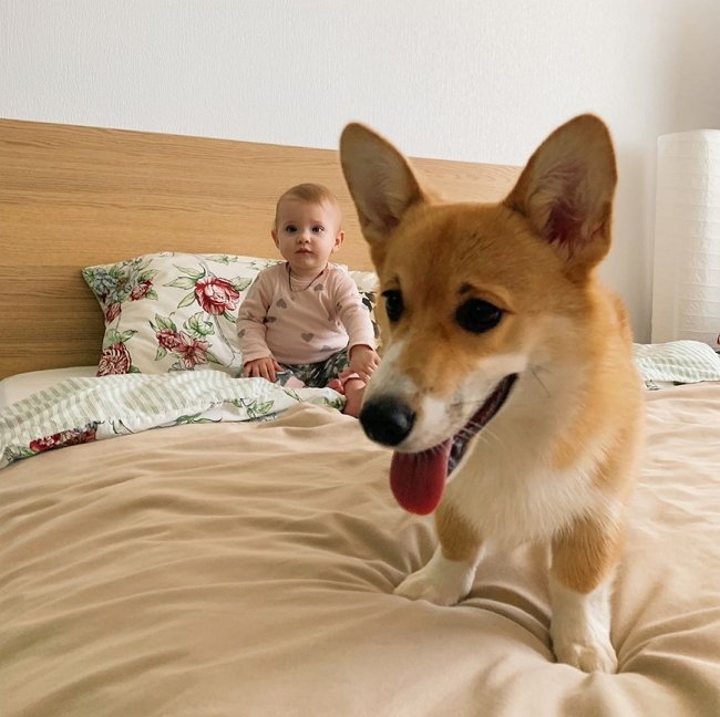 Фотоподборка детей участников (12.02.2019)