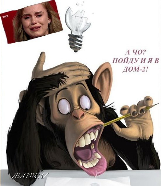 Приколы о Дом-2 (15.02.2019)