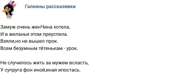 Стихи о Дом-2 на 15.02.2019