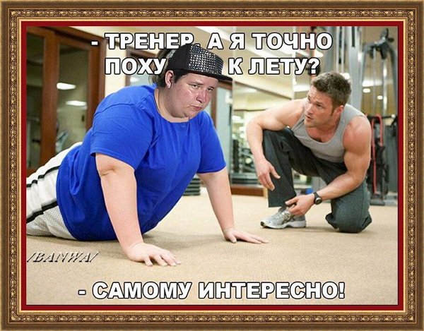 Приколы о Дом-2 (17.02.2019)