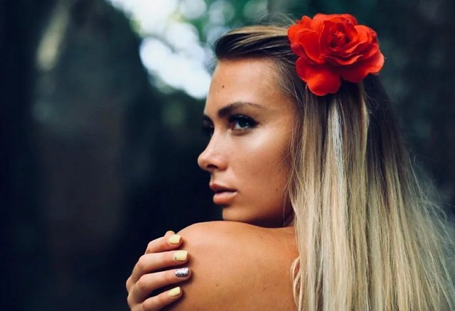 Новости от Кота Баюна (19.02.2019)