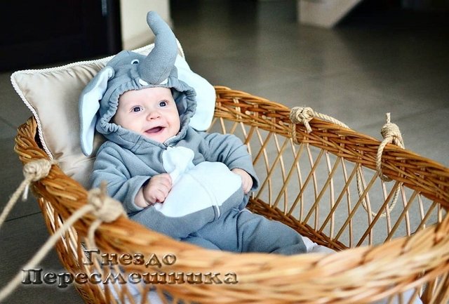 Фотоподборка детей участников (23.02.2019)