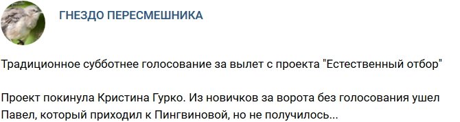 Кристина Гурко ушла с телестройки