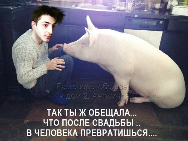 Приколы о Дом-2 (5.03.2019)