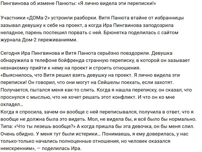 Ирина Пингвинова: Эту переписку я видела и читала