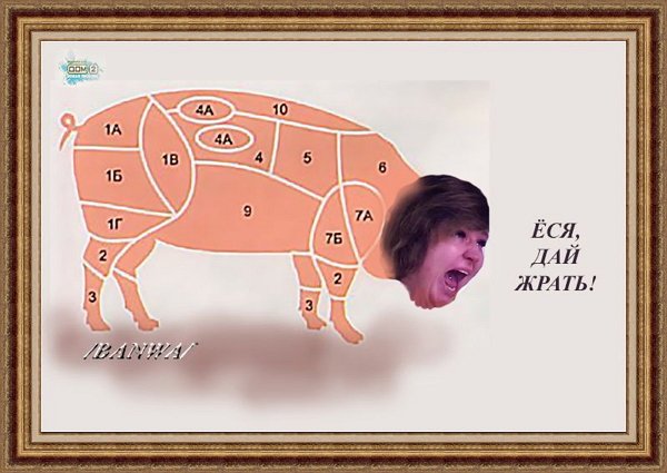 Приколы о Дом-2 (8.03.2019)