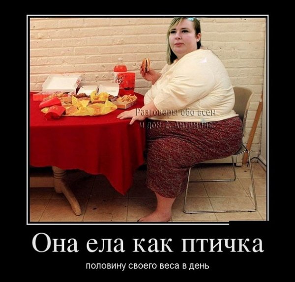 Приколы о Дом-2 (12.03.2019)