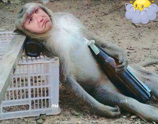 Приколы о Дом-2 (17.03.2019)