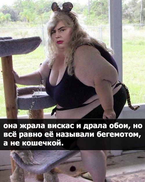 Приколы о Дом-2 (20.03.2019)