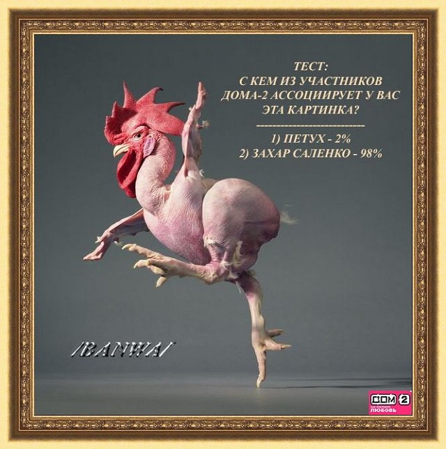 Приколы о Дом-2 (28.03.2019)