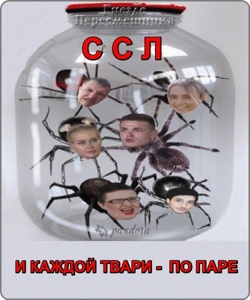 Приколы о Дом-2 (22.04.2019)